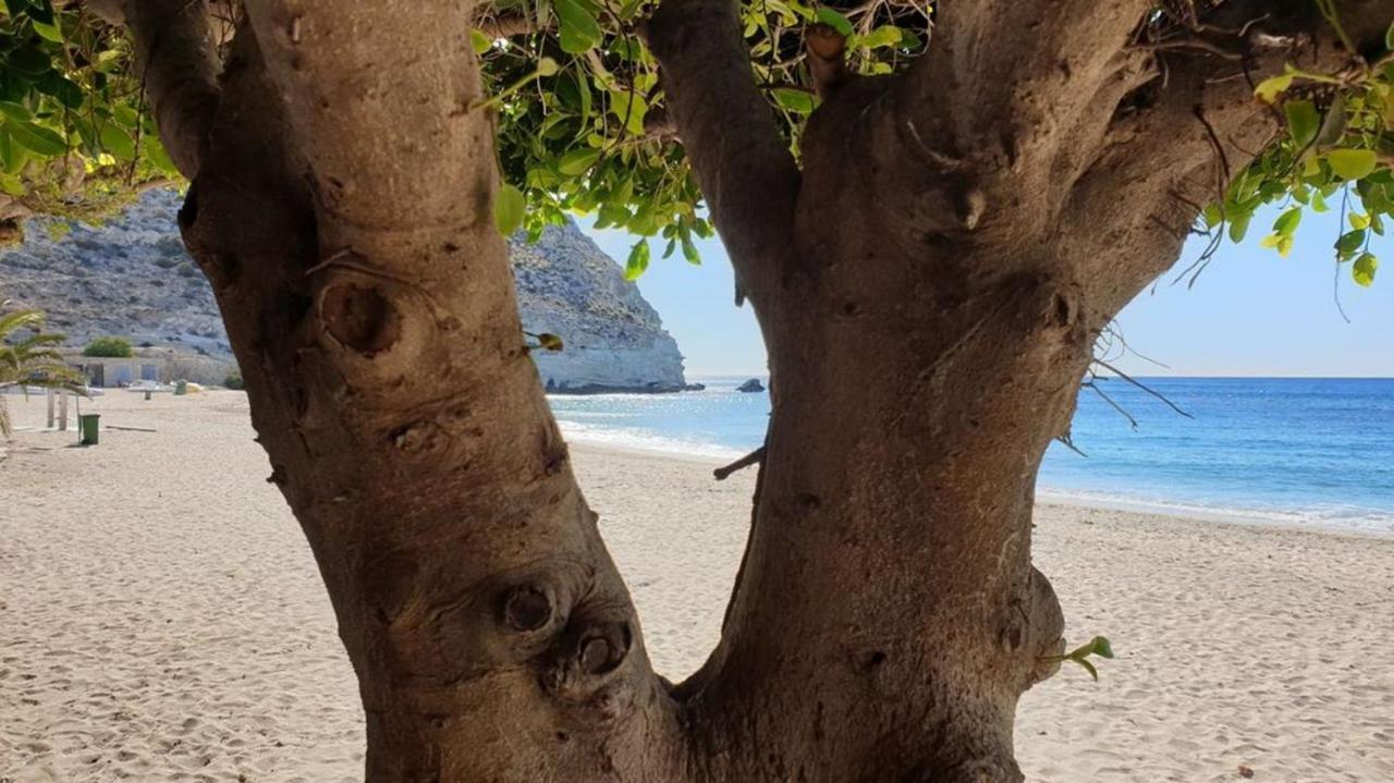 Casa El Algarrobico Villa Agua Amarga  Bagian luar foto